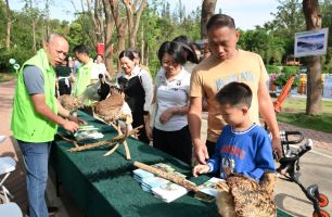 陽江市林業(yè)局舉辦森林徒步游園會